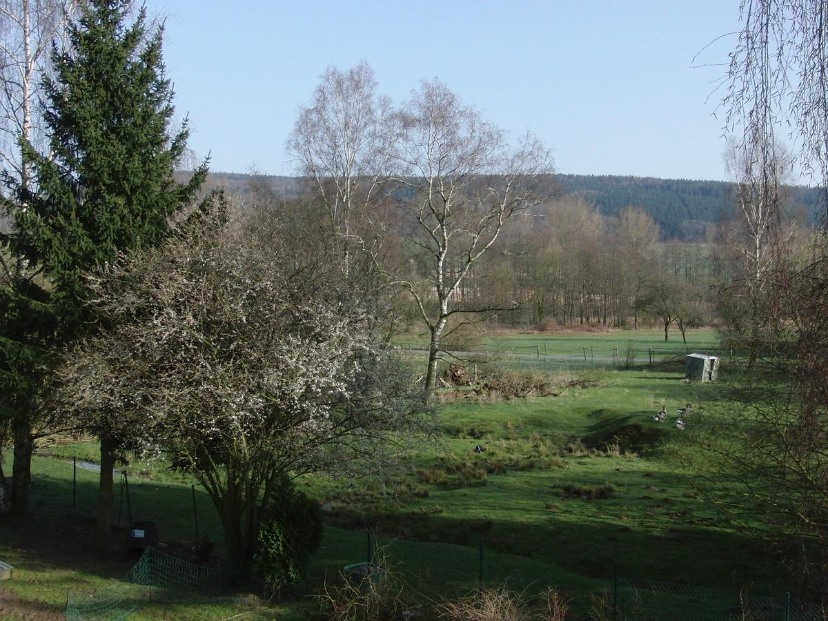 Guesthouse Herriot Springe Dış mekan fotoğraf